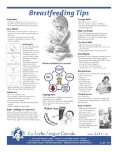 Does Breast Size Matter?  La Leche League Canada - Breastfeeding Support  and Information
